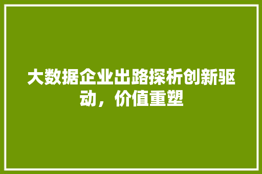 大数据企业出路探析创新驱动，价值重塑