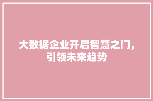大数据企业开启智慧之门，引领未来趋势