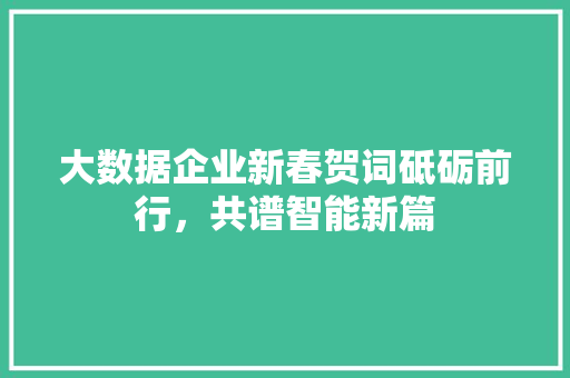 大数据企业新春贺词砥砺前行，共谱智能新篇
