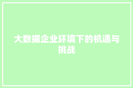 大数据企业环境下的机遇与挑战