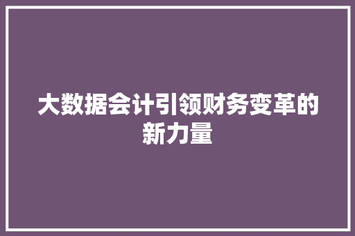 大数据会计引领财务变革的新力量