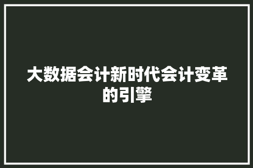 大数据会计新时代会计变革的引擎
