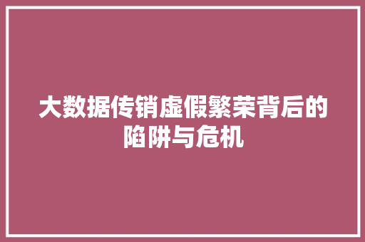 大数据传销虚假繁荣背后的陷阱与危机