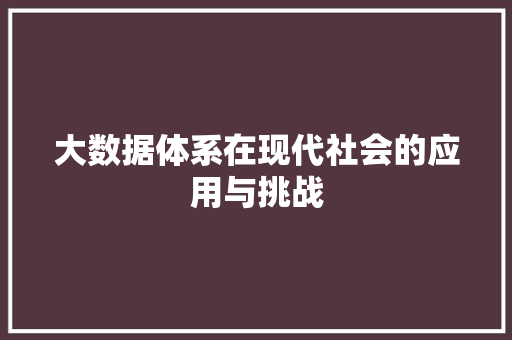 大数据体系在现代社会的应用与挑战