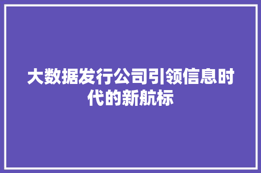 大数据发行公司引领信息时代的新航标