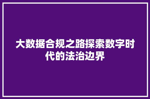 大数据合规之路探索数字时代的法治边界 建站教程
