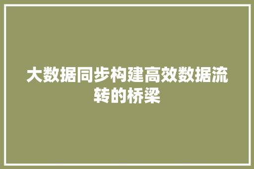 大数据同步构建高效数据流转的桥梁