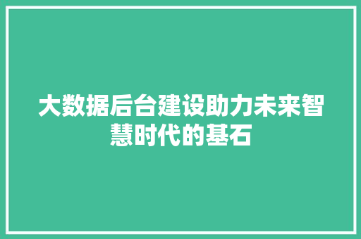 大数据后台建设助力未来智慧时代的基石