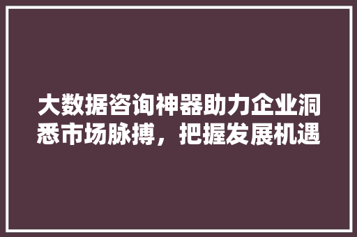 大数据咨询神器助力企业洞悉市场脉搏，把握发展机遇