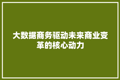 大数据商务驱动未来商业变革的核心动力