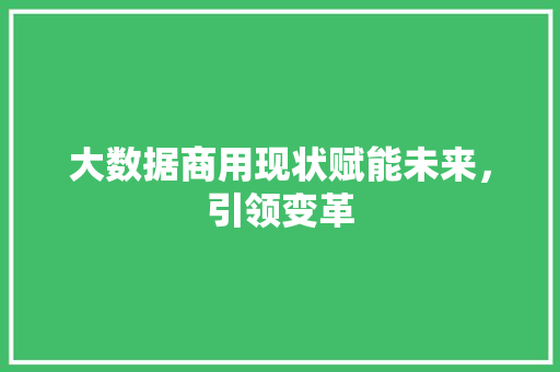 大数据商用现状赋能未来，引领变革