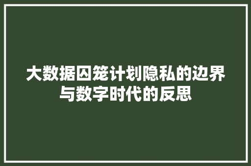 大数据囚笼计划隐私的边界与数字时代的反思