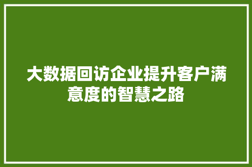 大数据回访企业提升客户满意度的智慧之路