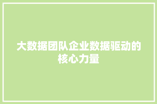 大数据团队企业数据驱动的核心力量