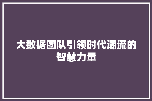 大数据团队引领时代潮流的智慧力量