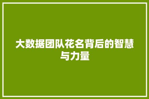 大数据团队花名背后的智慧与力量