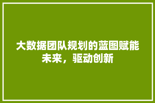 大数据团队规划的蓝图赋能未来，驱动创新