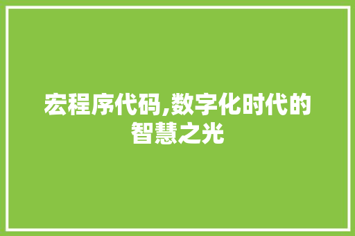 宏程序代码,数字化时代的智慧之光