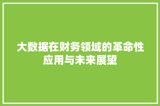 大数据在财务领域的革命性应用与未来展望