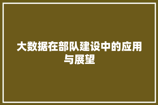 大数据在部队建设中的应用与展望