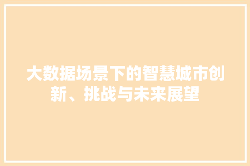 大数据场景下的智慧城市创新、挑战与未来展望