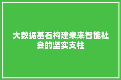 大数据基石构建未来智能社会的坚实支柱 WordPress教程
