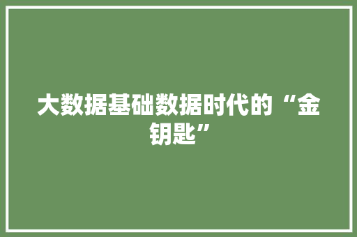 大数据基础数据时代的“金钥匙” SEO教程
