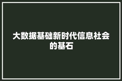 大数据基础新时代信息社会的基石 友链在线