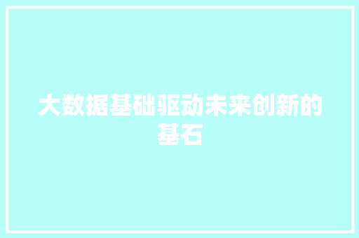 大数据基础驱动未来创新的基石