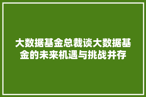 大数据基金总裁谈大数据基金的未来机遇与挑战并存 友链在线