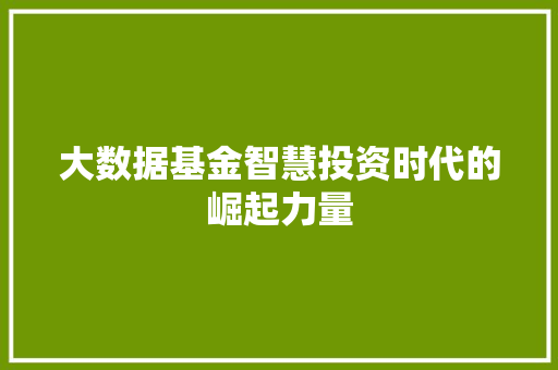 大数据基金智慧投资时代的崛起力量 WordPress教程