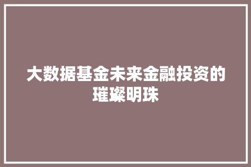 大数据基金未来金融投资的璀璨明珠 WordPress教程