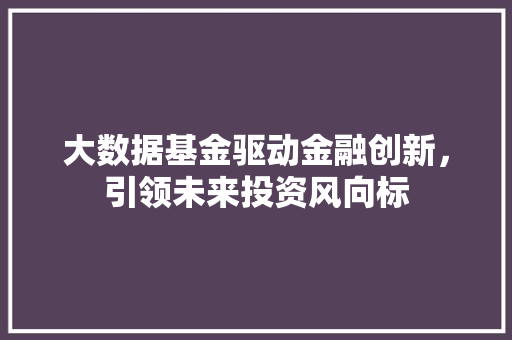 大数据基金驱动金融创新，引领未来投资风向标 SEO教程