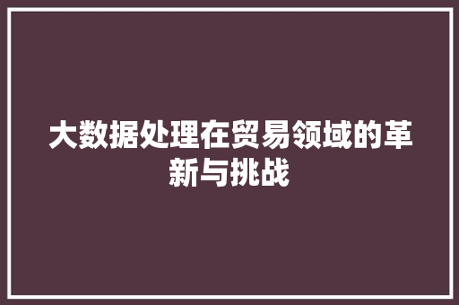 大数据处理在贸易领域的革新与挑战