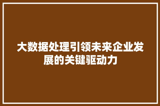 大数据处理引领未来企业发展的关键驱动力