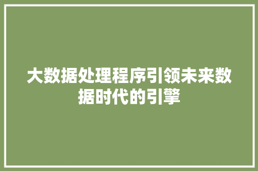 大数据处理程序引领未来数据时代的引擎