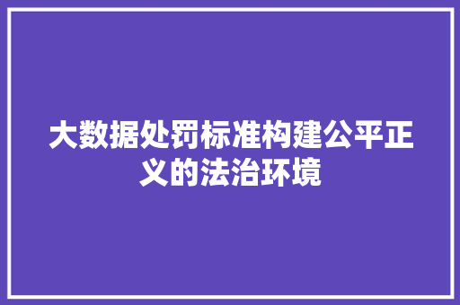 大数据处罚标准构建公平正义的法治环境