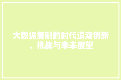 大数据复制的时代浪潮创新、挑战与未来展望