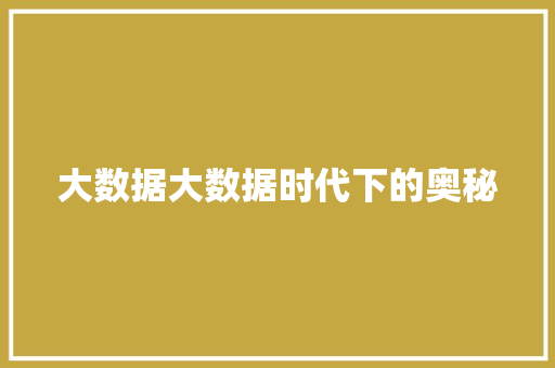 大数据大数据时代下的奥秘