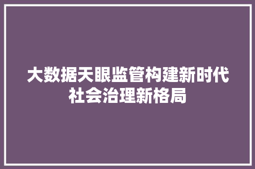 大数据天眼监管构建新时代社会治理新格局