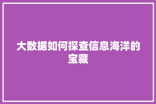 大数据如何探查信息海洋的宝藏