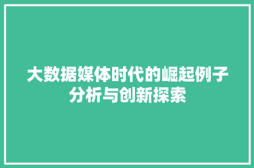 大数据媒体时代的崛起例子分析与创新探索