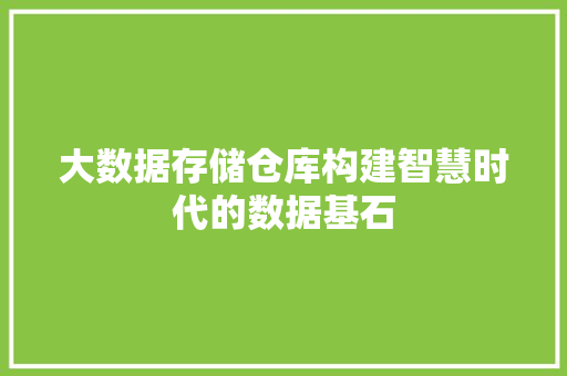 大数据存储仓库构建智慧时代的数据基石