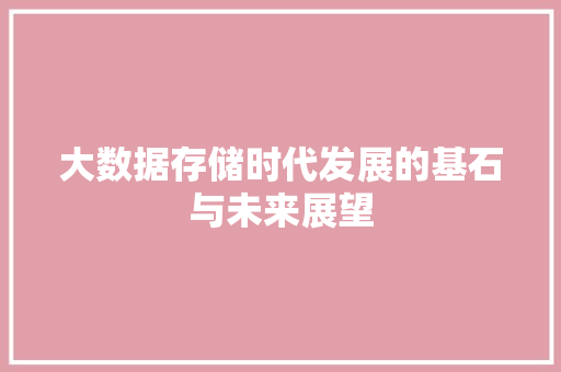 大数据存储时代发展的基石与未来展望