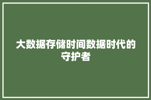 大数据存储时间数据时代的守护者