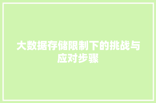 大数据存储限制下的挑战与应对步骤