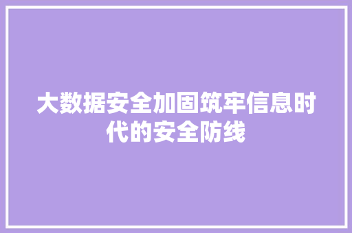 大数据安全加固筑牢信息时代的安全防线