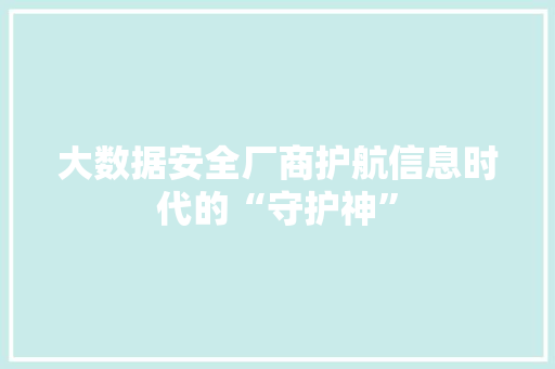 大数据安全厂商护航信息时代的“守护神”