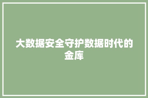 大数据安全守护数据时代的金库