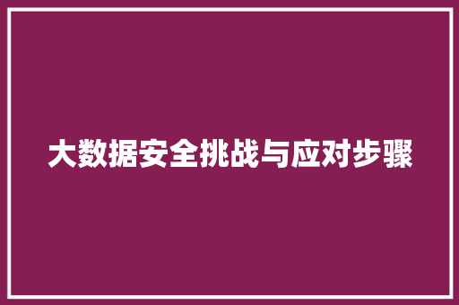 大数据安全挑战与应对步骤